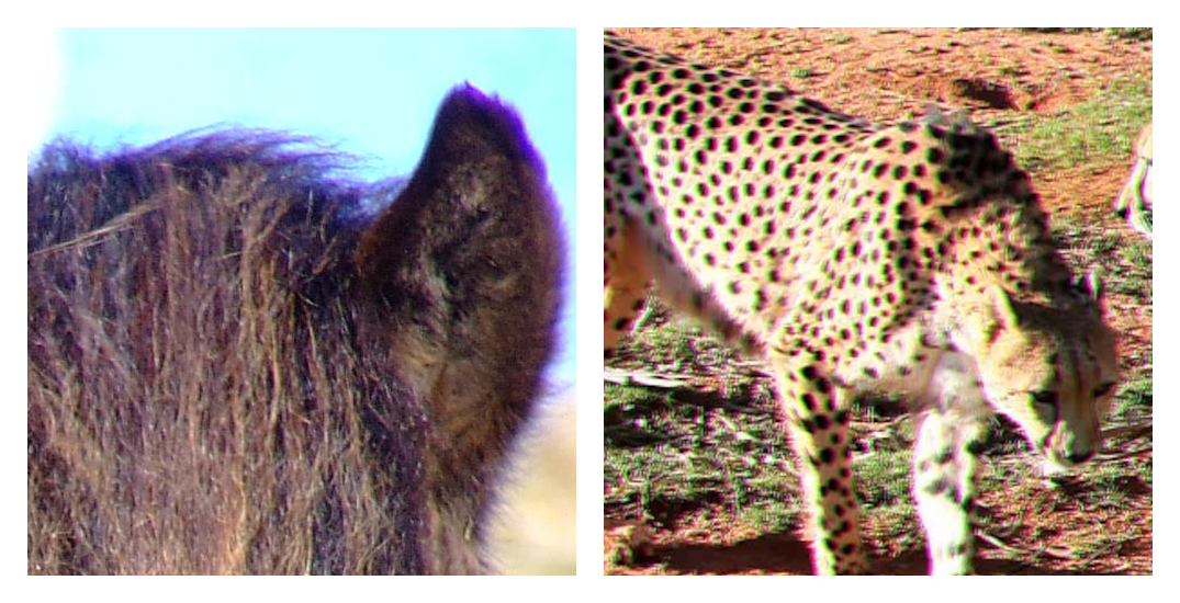 examples of photos with chromatic aberration